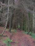 Path to Deerpark Court Tomb.jpg